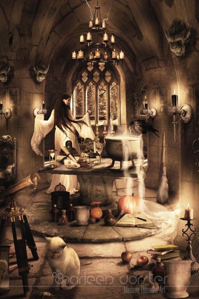 The Witches dungeon from the series "Crowded rooms" 